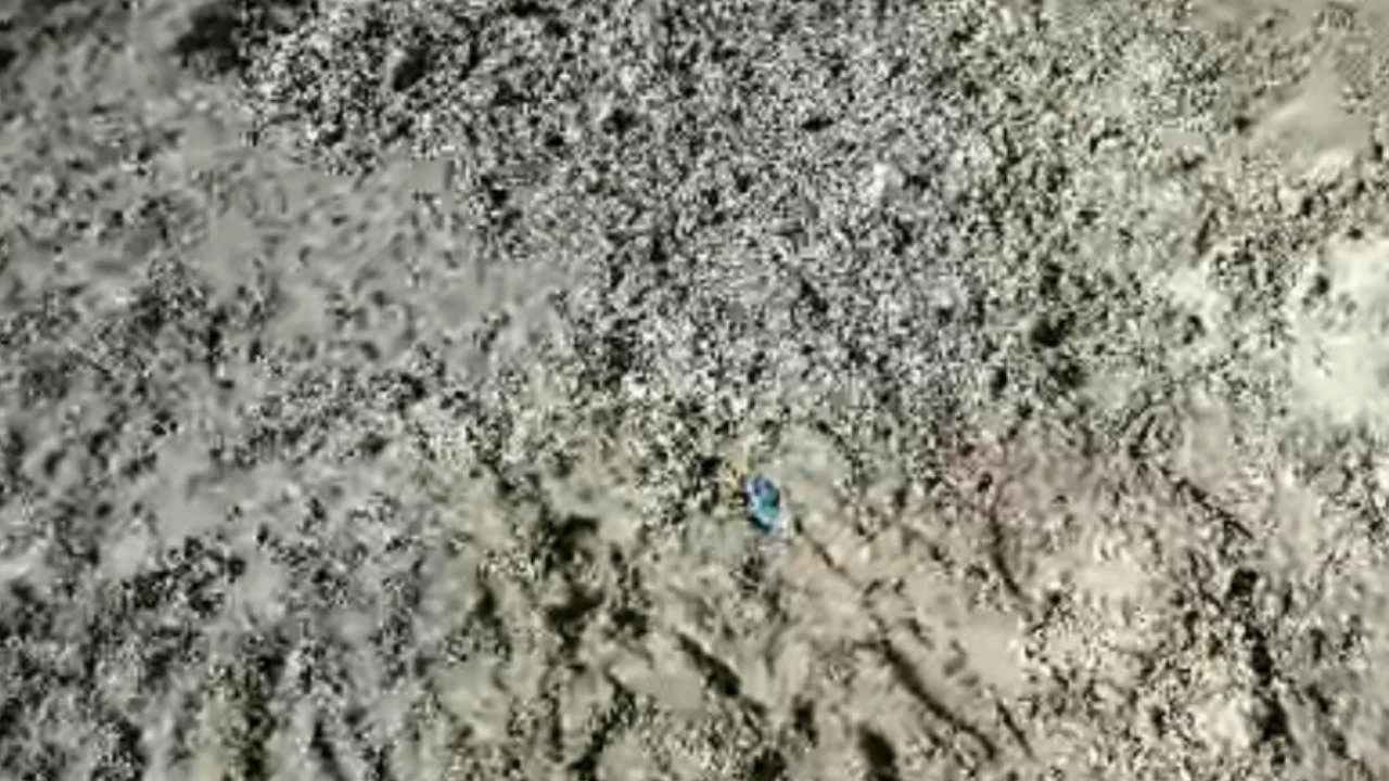 Kayıp olarak aranan Çinli iş adamı İstanbul'da ölü bulundu