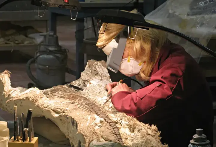 Paleontolog Nedir, Kime Denir? Paleontolog Ne İş Yapar, Nasıl Olunur?