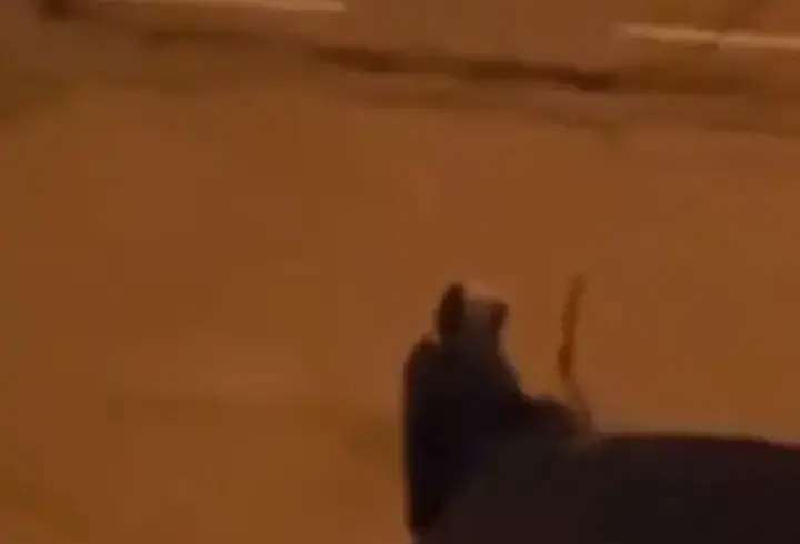 Alkollü olduğu iddia edilen kadın, araçların sileceklerini kırdı