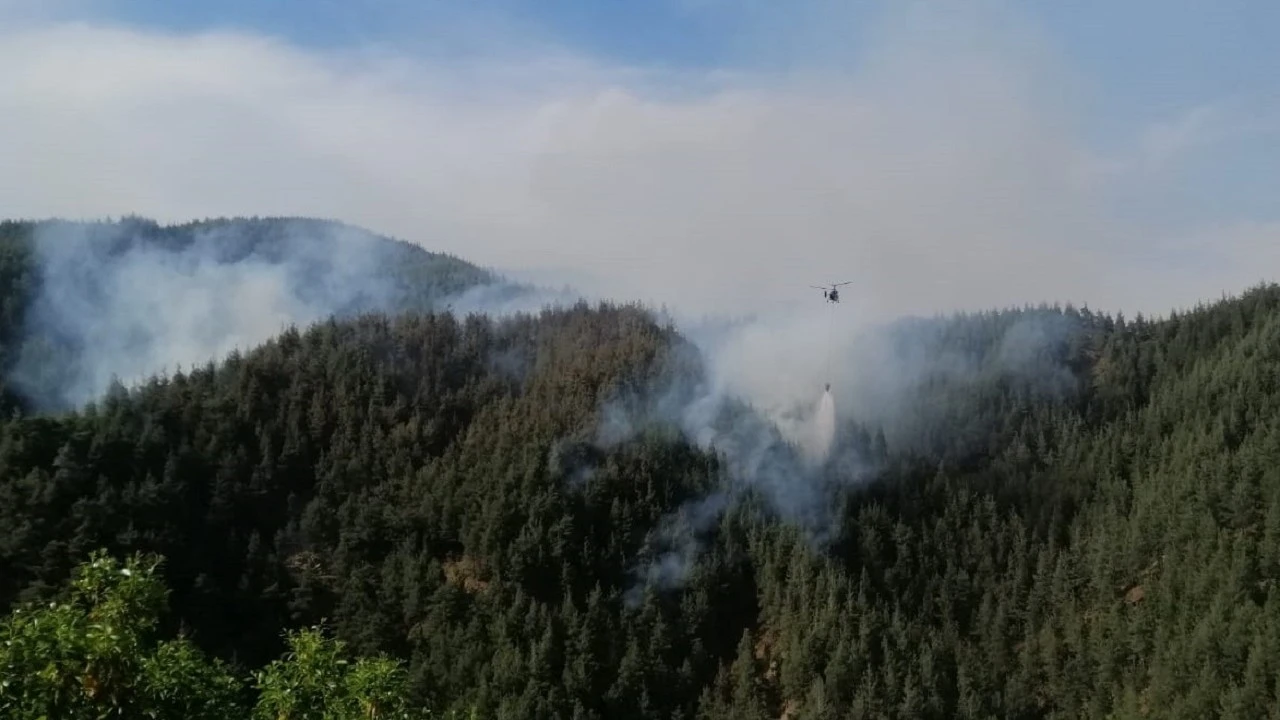 Kahramanmaraş'ta korkutan yangın! Havadan ve karadan müdahale sürüyor