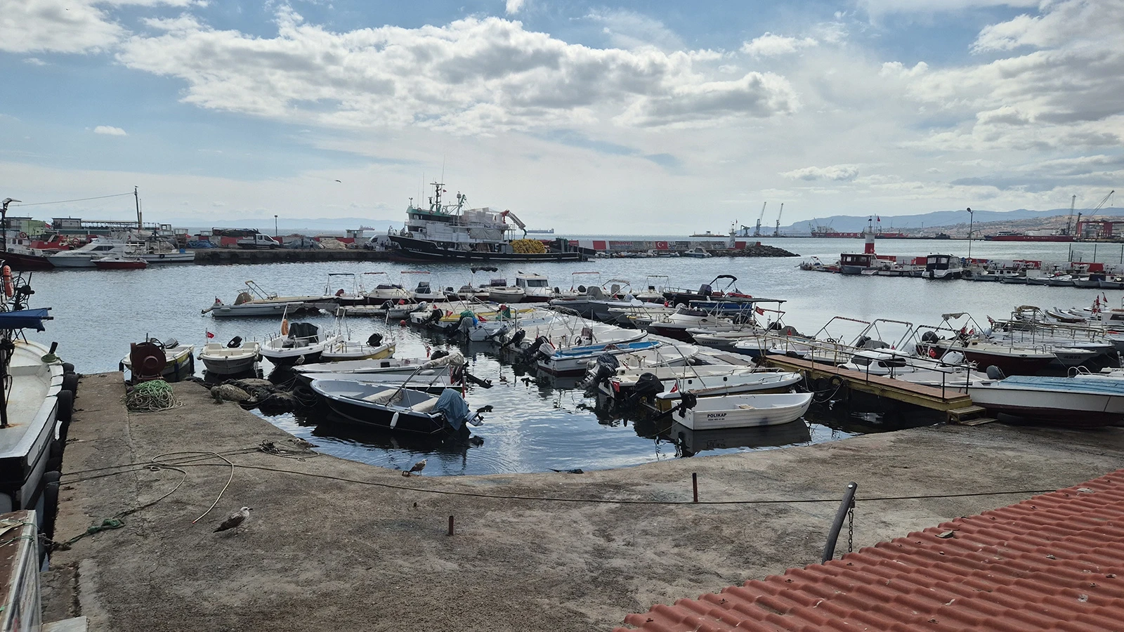 Tekirdağ'da çıkan poyraz, umutları erteletti: Tekneler limana çekildi
