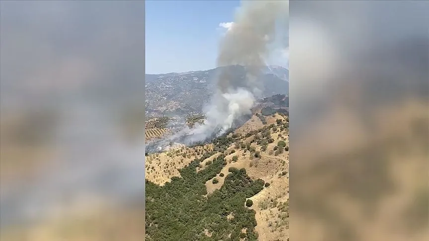 Aydın'da tarım arazisinde çıkan yangın kontrol altına alındı