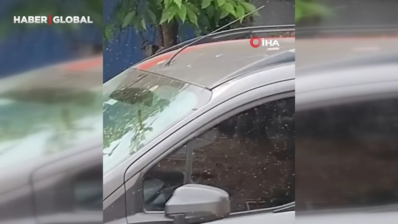 Adana'da vatandaşlar isyan etti, her yeri sinekler sardı
