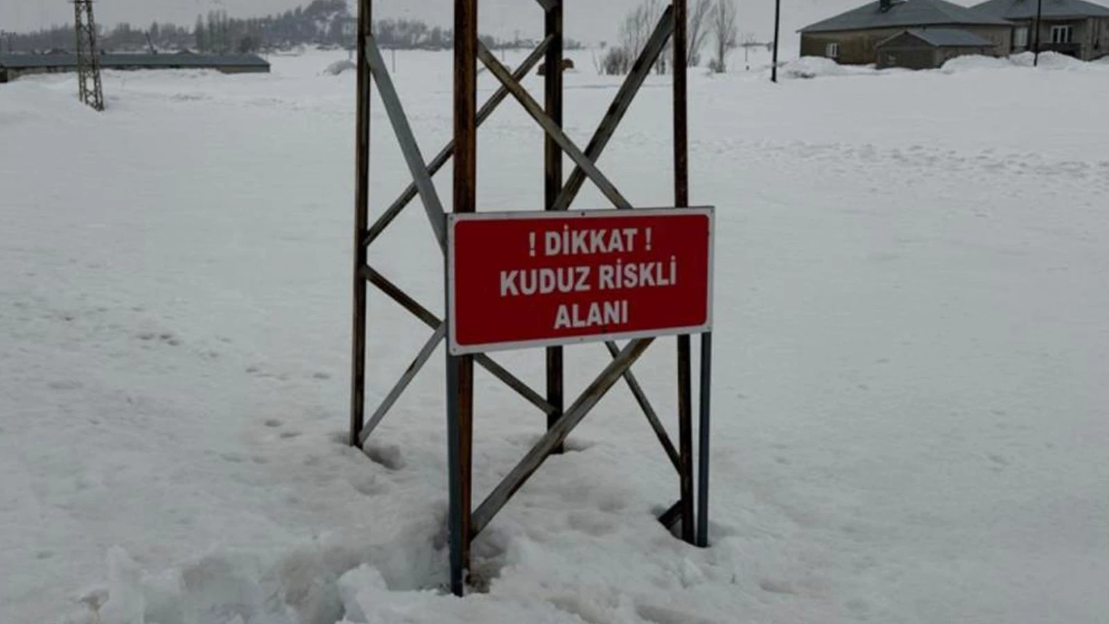 Hakkari'de kuduz alarmı: Bir köy karantinaya alındı