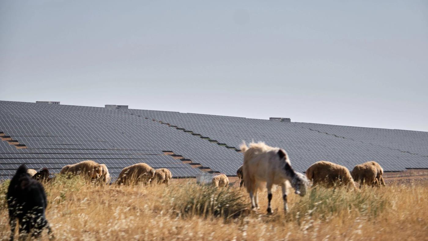 Türkiye, rüzgar ve güneş enerjisinde yerli kömürü geride bıraktı