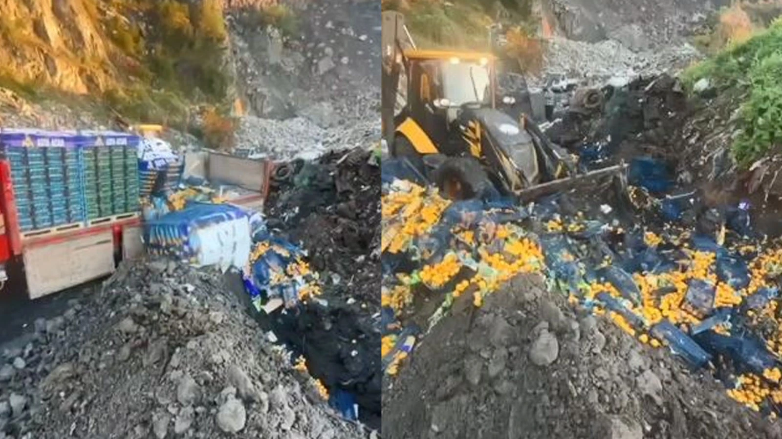 Zirai ilaç kalıntısı tespit edilen tonlarca mandalina imha edildi