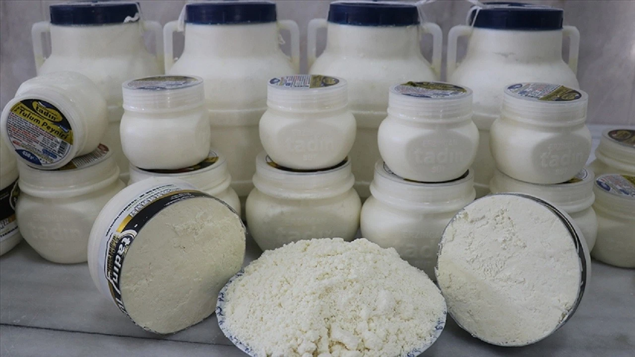 Erzincan tulum peyniri, AB'den coğrafi işaret tescili aldı