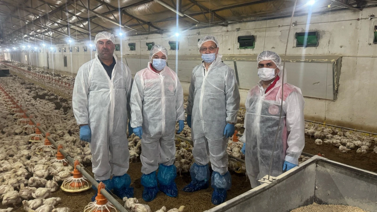 Erzincan'da işleniyor, dünyaya ihraç ediliyor