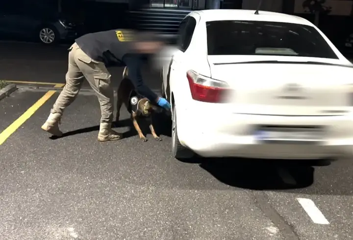 Batman'da otomobillere gizlenmiş uyuşturucuyu ‘Mailo’ buldu: 2 tutuklama
