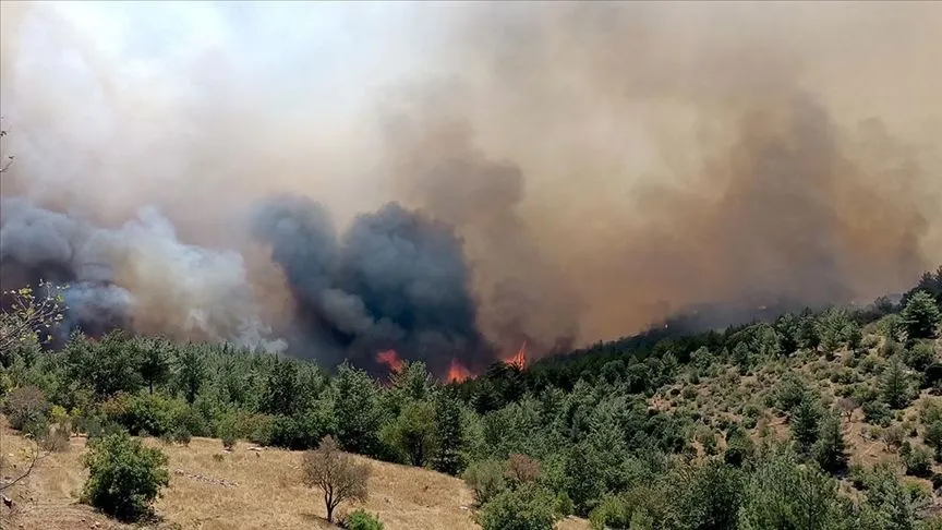 Mersin ve Çanakkale'de çıkan orman yangınlarına müdahale ediliyor