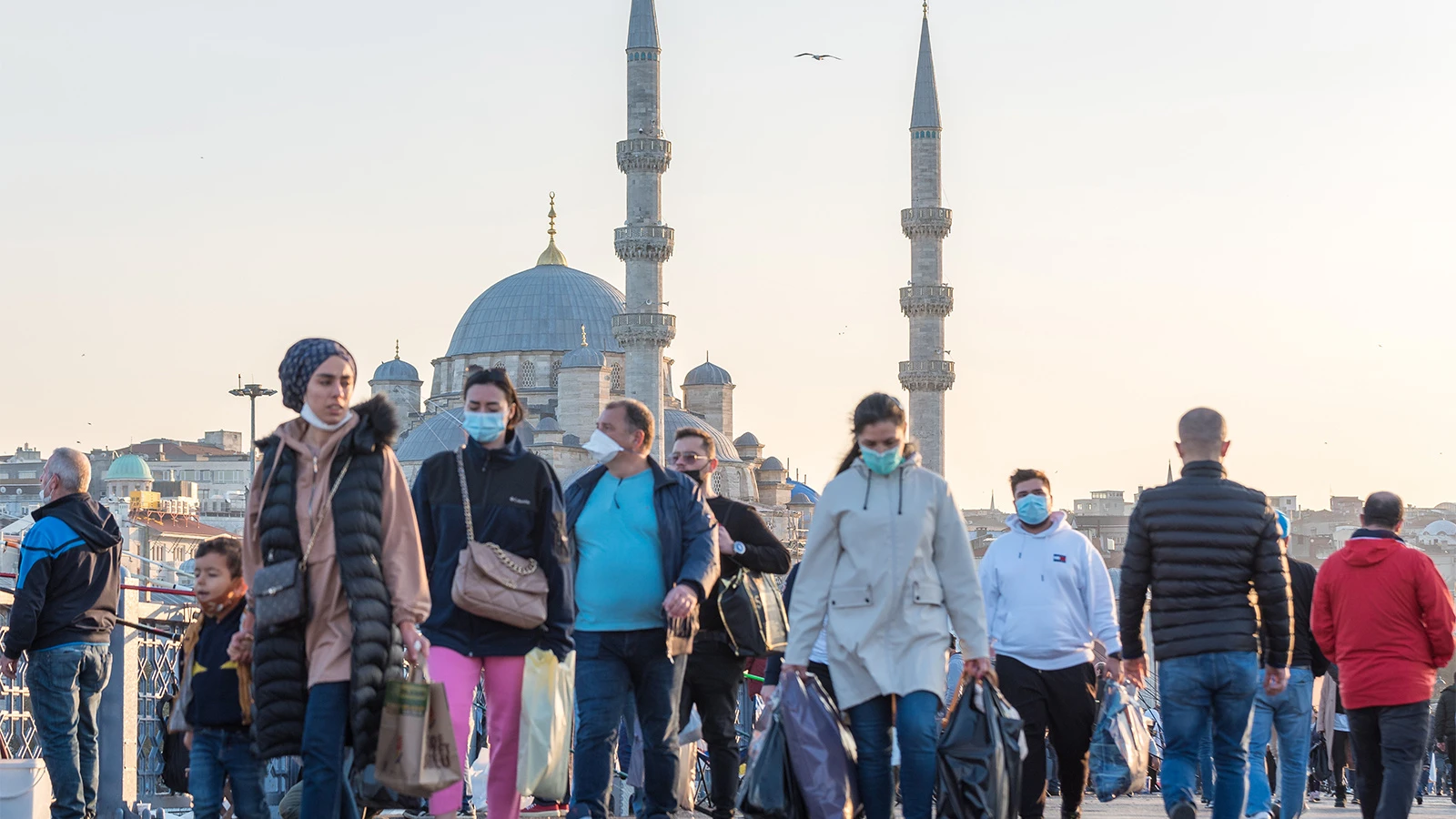 Çin'den geliyor, tedavisi yok, Chikungunya virüsü kapıda mı?
