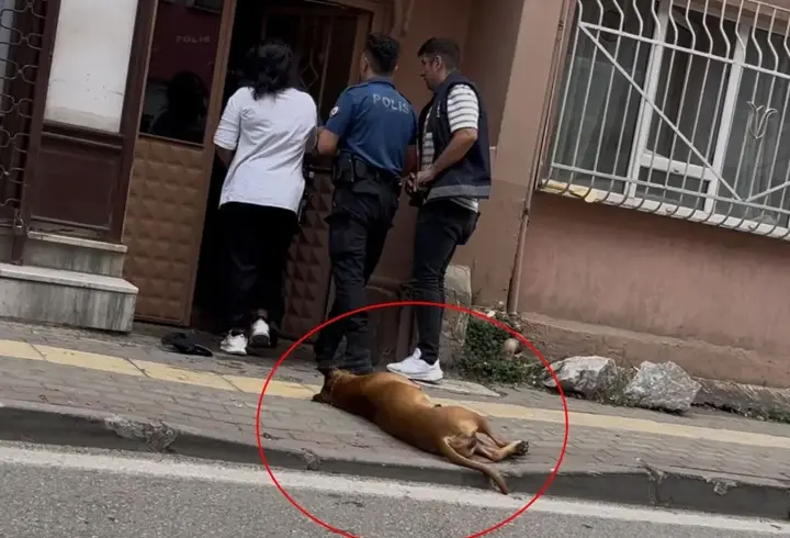 Bursa’da şok saldırı: İhbara giden polislerden birini köpek, diğerini ise sahibi ısırdı