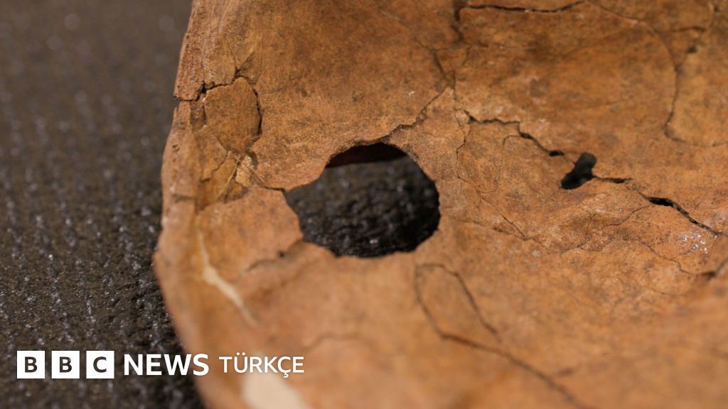 Neandertallerin Yaşamında Şiddet Ne Kadar Yaygındı?