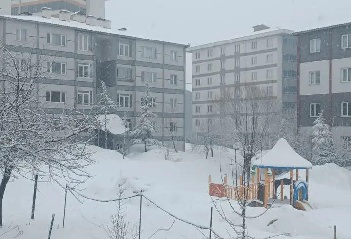 Bitlis’te kar yağışı