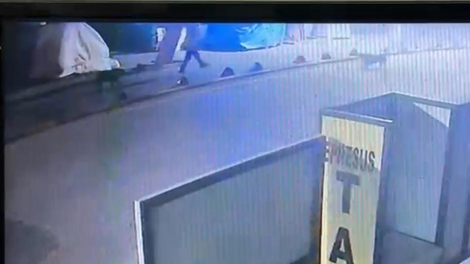 Aydın'da sokak köpeğini vuran emekli astsubay serbest bırakıldı