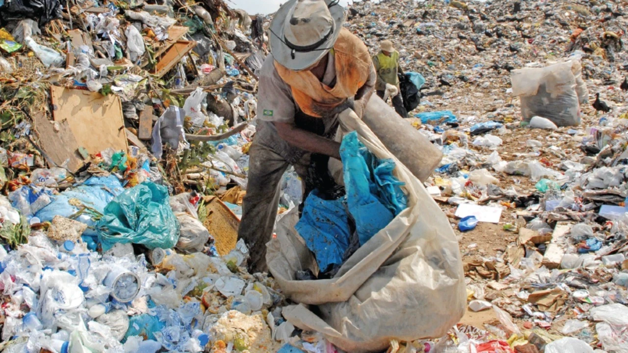 Ekosistemler plastik kirliliği tehdidi altında