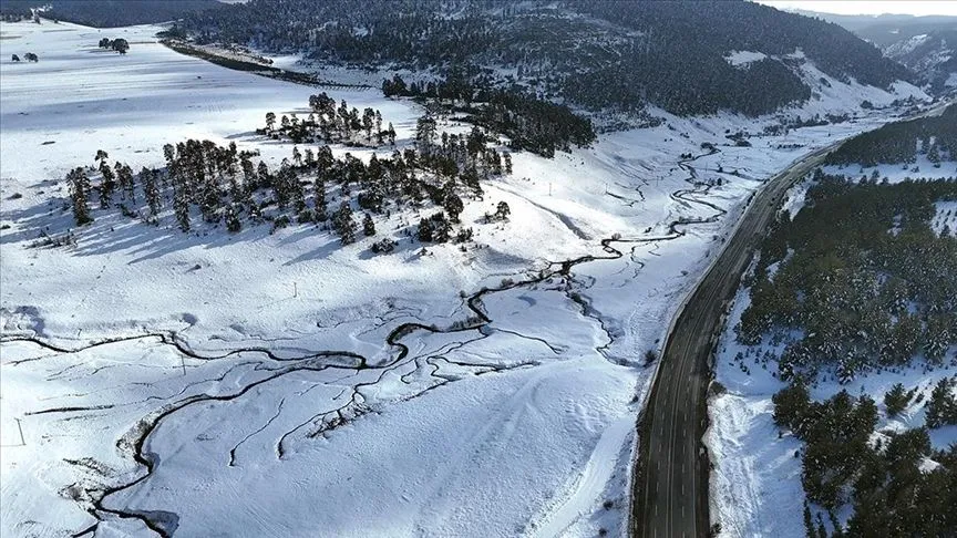 Kars'ta karla kaplanan sarıçam ormanları dronla görüntülendi
