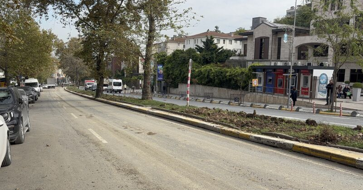 Eyüpsultan'da Ağaçlar Kesildi İddiasına Tepki - Son Dakika İnternet Haberleri - Habertürk