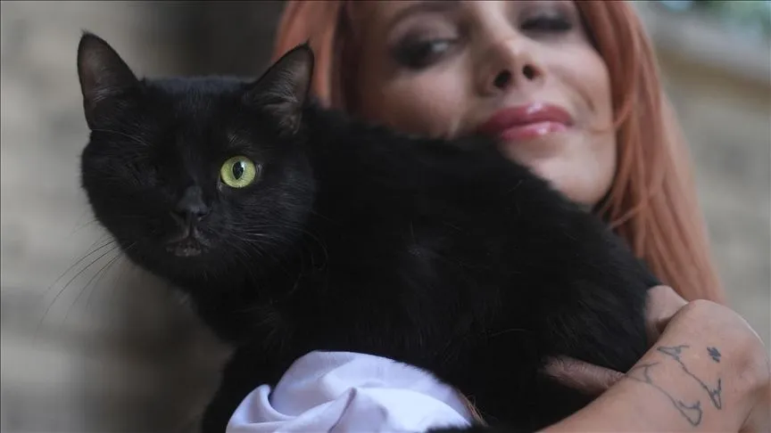 Engelleri aşan kedi "Zeytin" mücadeleyi bırakmıyor