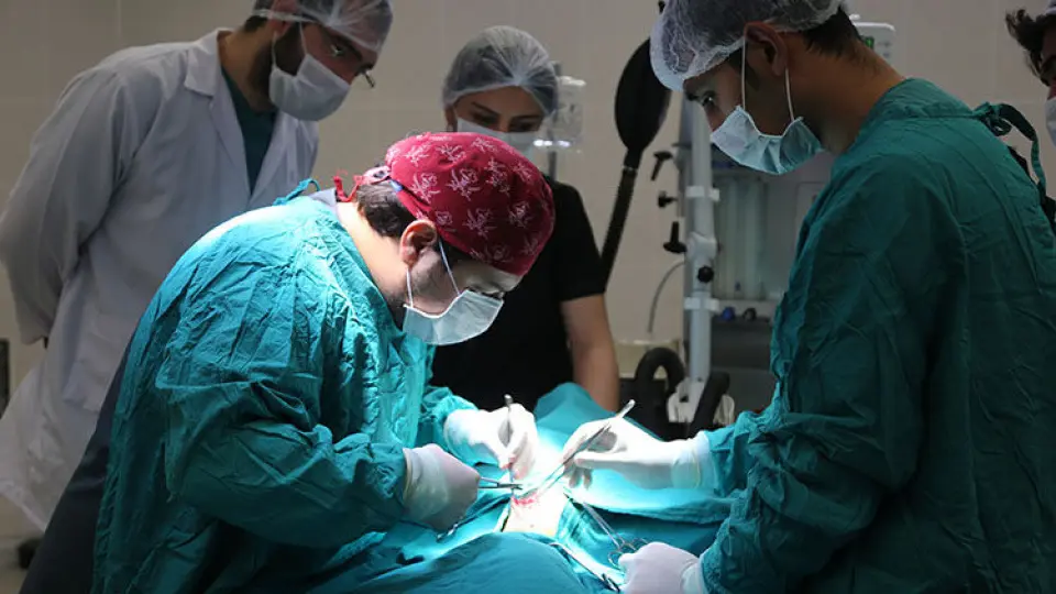 Sağlık harcamalarında özelin payı 16 yılın zirvesinde