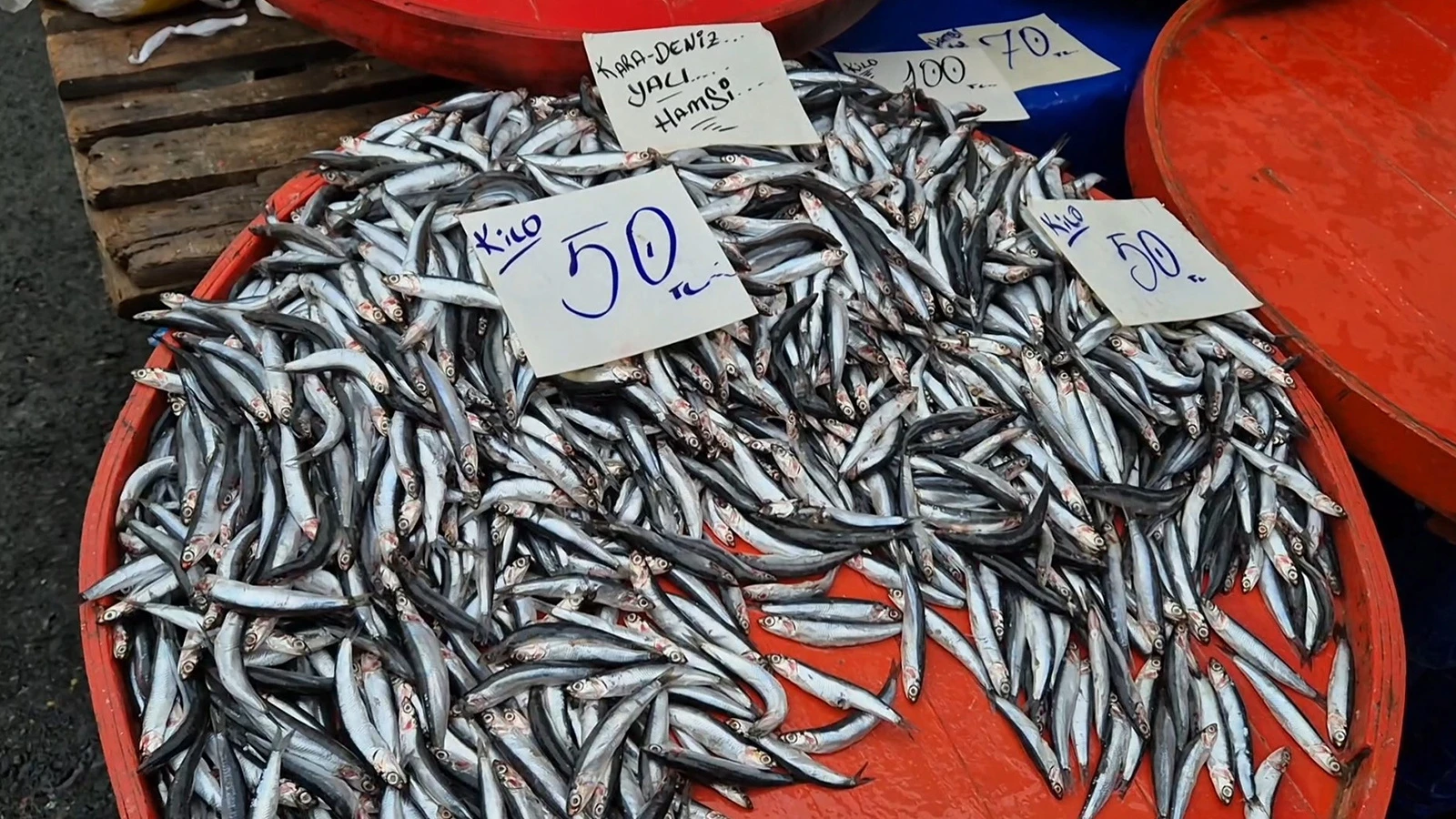 Yer Tekirdağ: Hamsinin kilosu 50 liraya kadar düştü