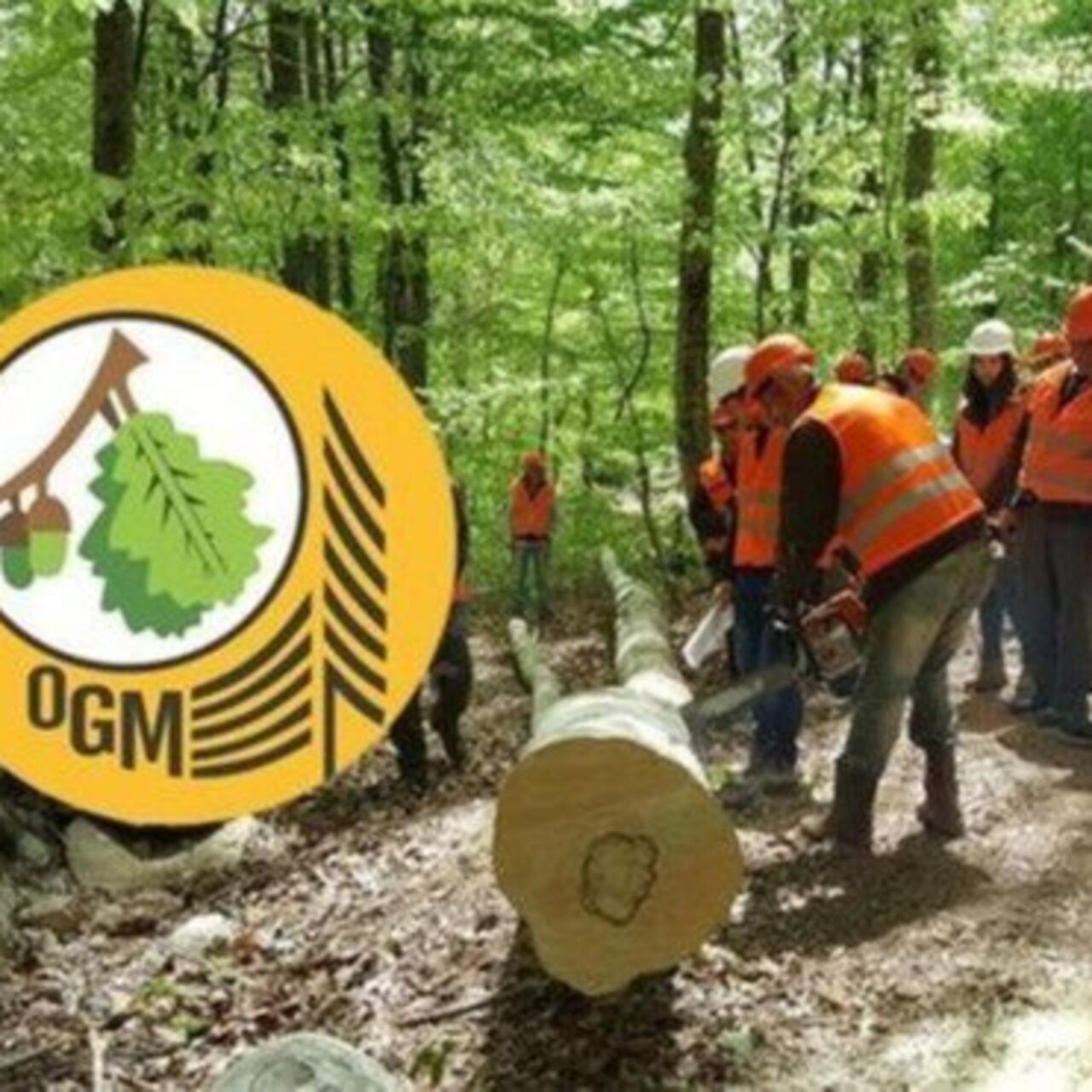 OGM 3 bin 477 personel alımı sonuçları ne zaman açıklanacak?