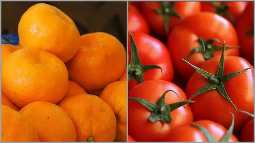 İstanbul'da ocakta en çok mandalina ve domates tüketildi