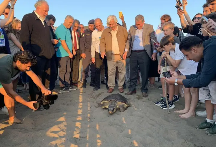 Caretta caretta 'Cumhuriyet'i 10 bin kişi izledi