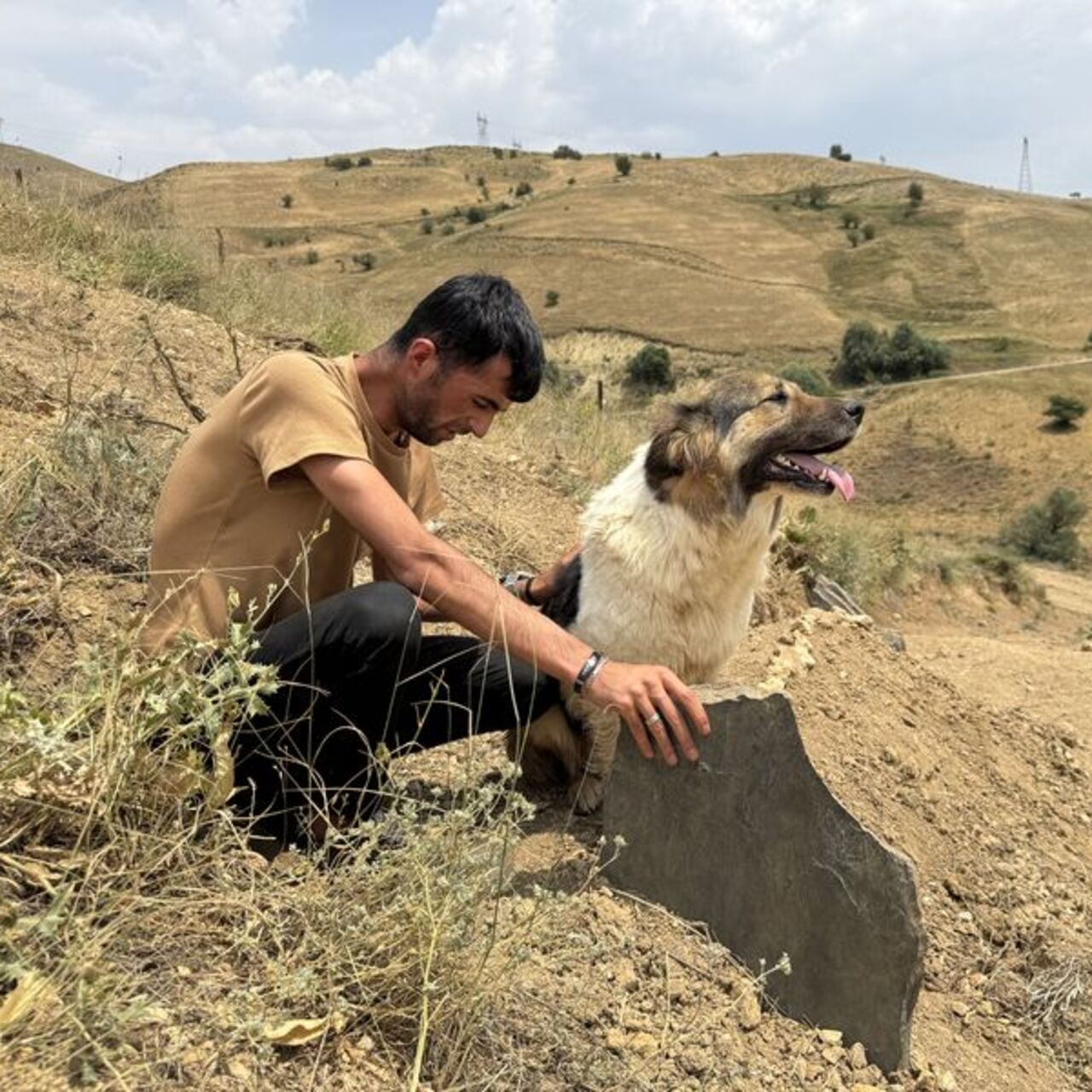 Mezardan ayrılmıyor! Köpekten duygulandıran vefa