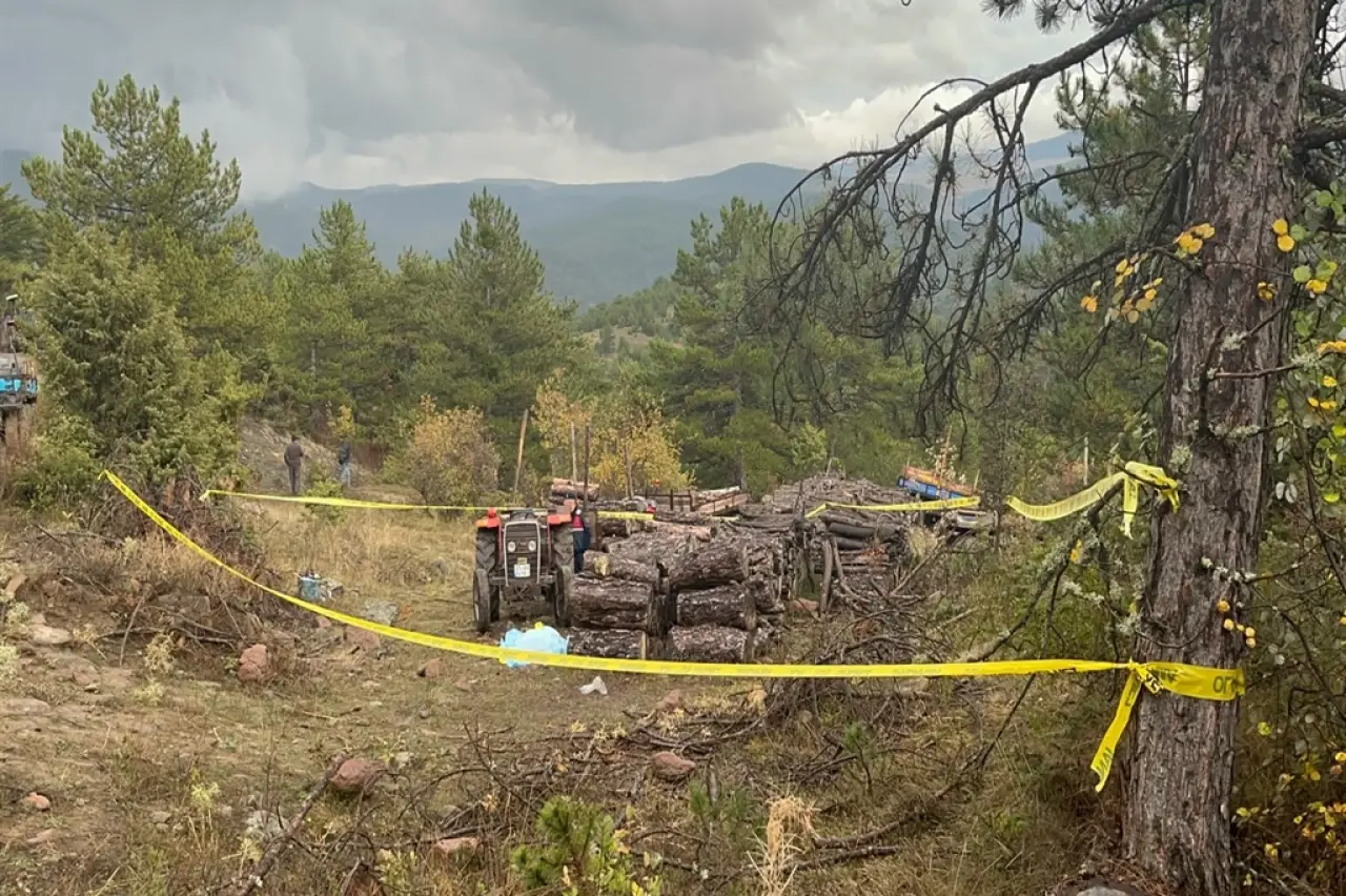 Kastamonu'da Köy İmamı Başına Odunla Vurarak Öldürüldü