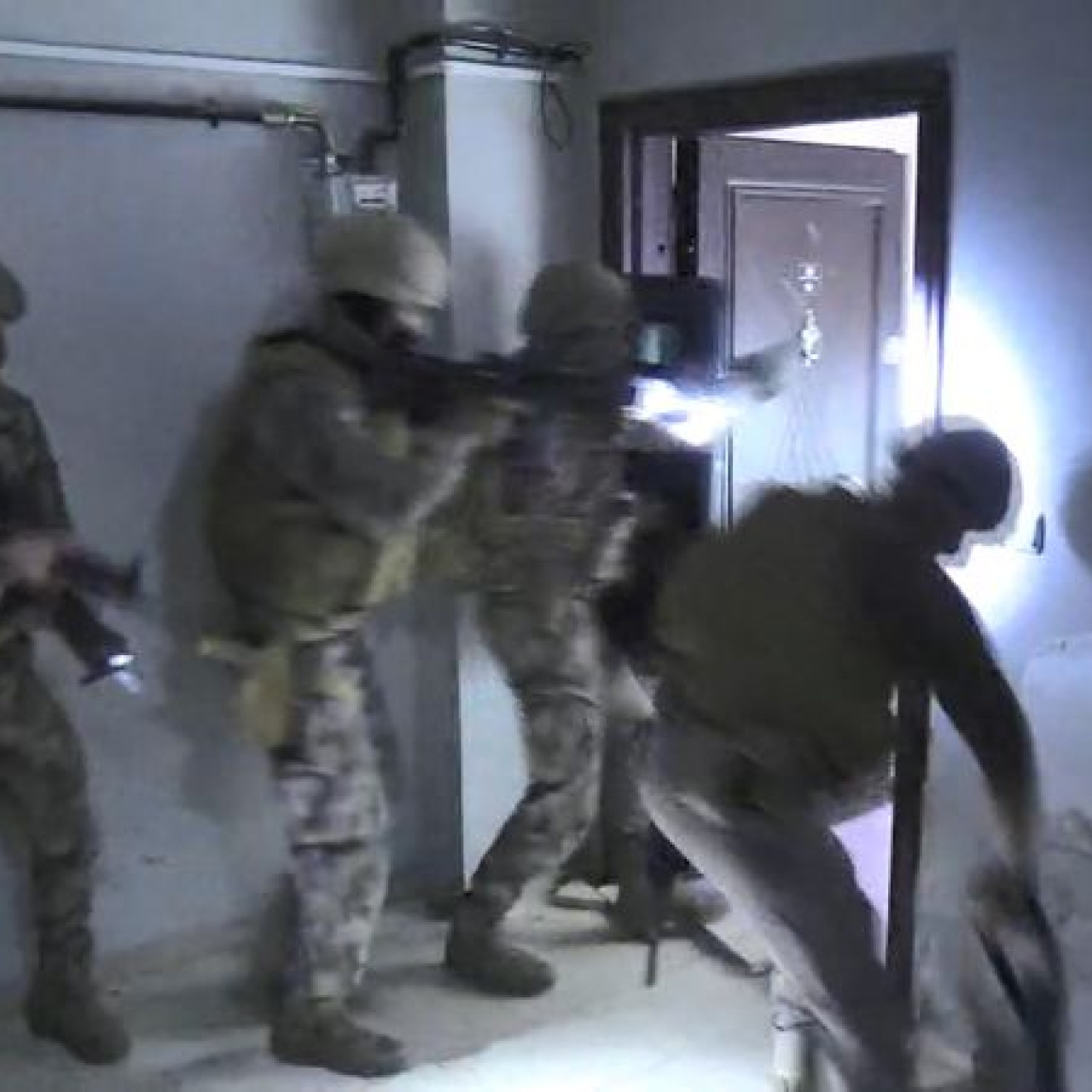 Göçmen kaçakçılığı operasyonu: 51 gözaltı