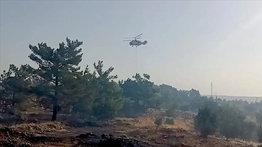 Mersin'in Silifke ilçesinde çıkan orman yangınına müdahale ediliyor