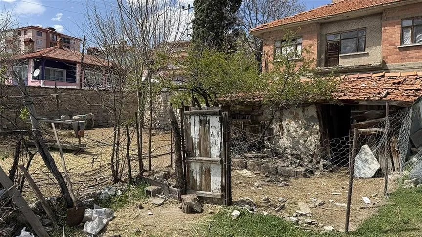 Kütahya'da sahipsiz köpeklerin saldırdığı koyunlar telef oldu