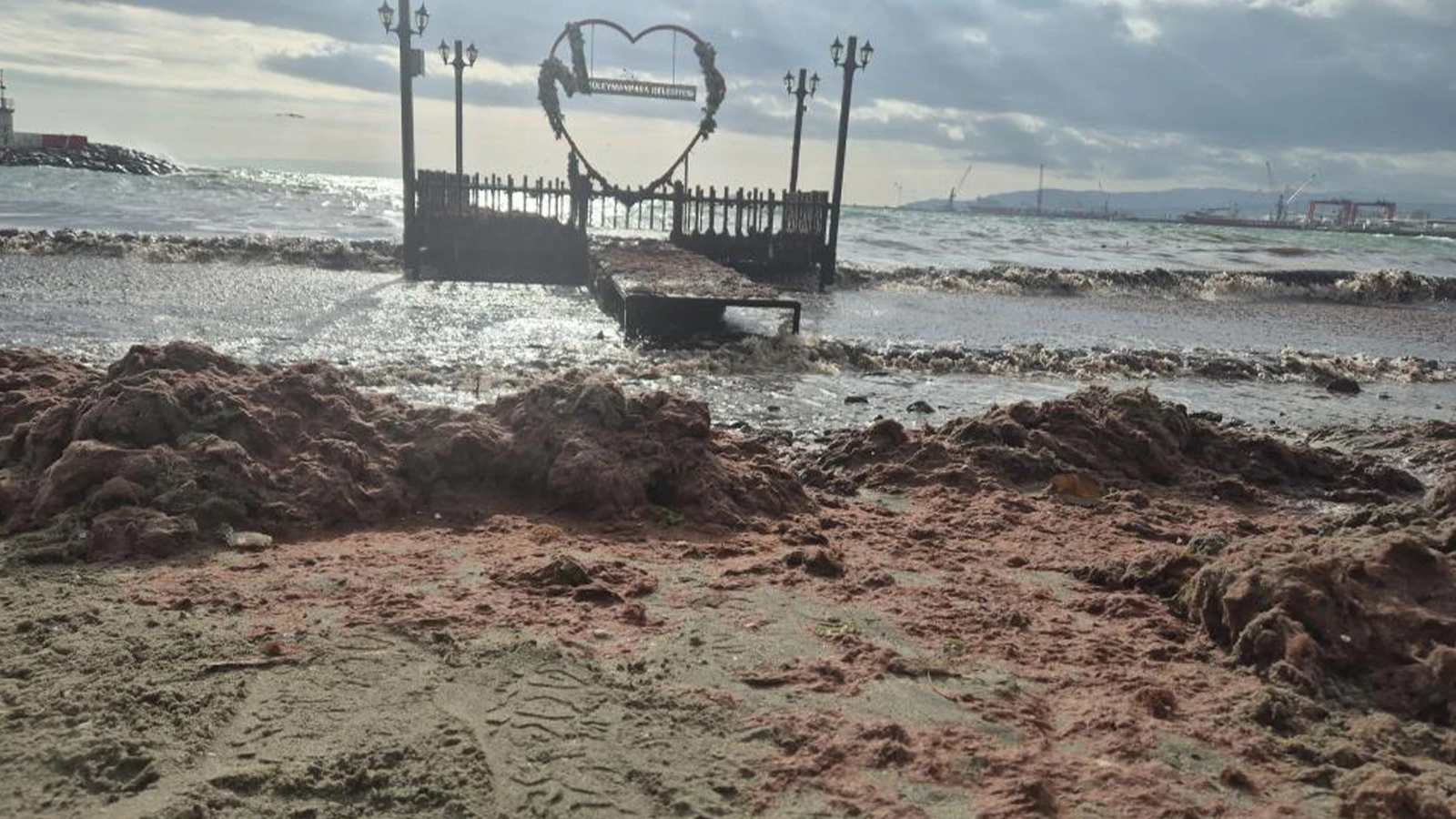 Tekirdağ'da kızıl alarm; dalgalarla birlikte sahile sürüklendi