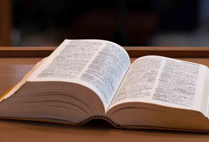 Cambridge Sözlüğü'ne yeni kelimeler eklendi