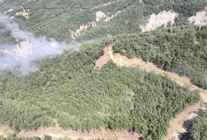 Çanakkale'de çıkan orman yangını 1 saatte kontrol altına alındı