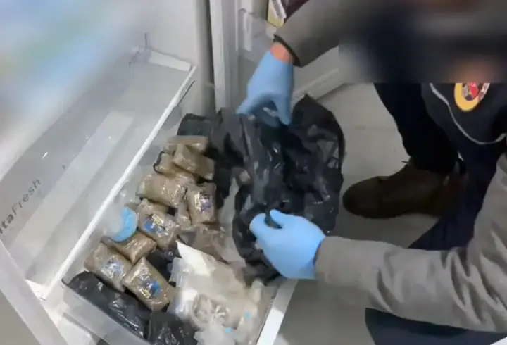 Hollanda'dan uyuşturucu getirip, yılbaşı öncesi satmak istemişler; 2 tutuklama