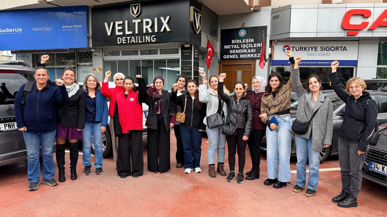 Birleşik Metal-İş’ten Ovp’ye Kadın İstihdamı Eleştirisi: 'Esnek Çalışma Değil, Güvenceli İş'