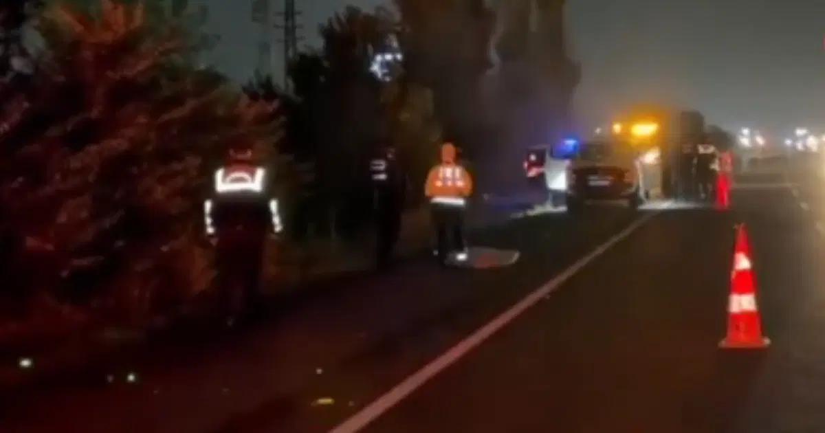 Ankara'da Yol Kenarında Ceset Bulundu