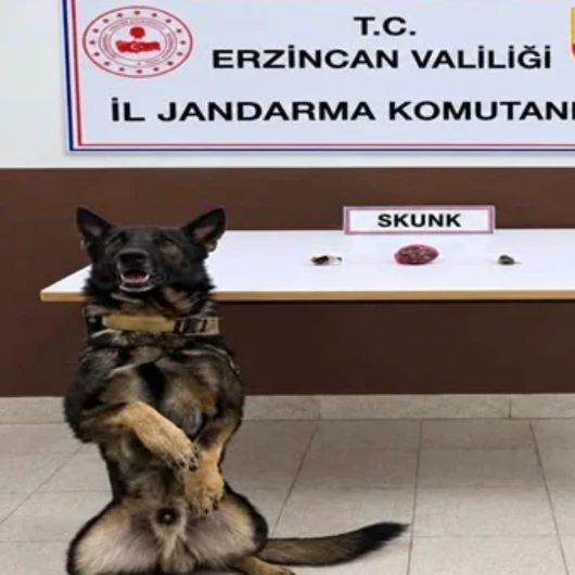 Erzincan’da Bonzai Hammaddesi Ve Skunk Ele Geçirildi