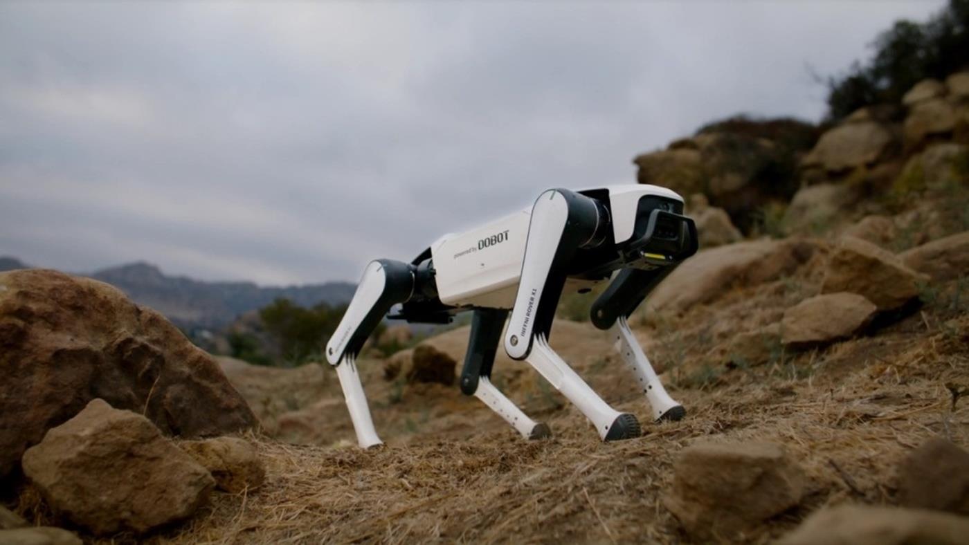 Çinli şirket, sadece 1.000 dolar fiyata sahip robot köpeğini satışa sundu