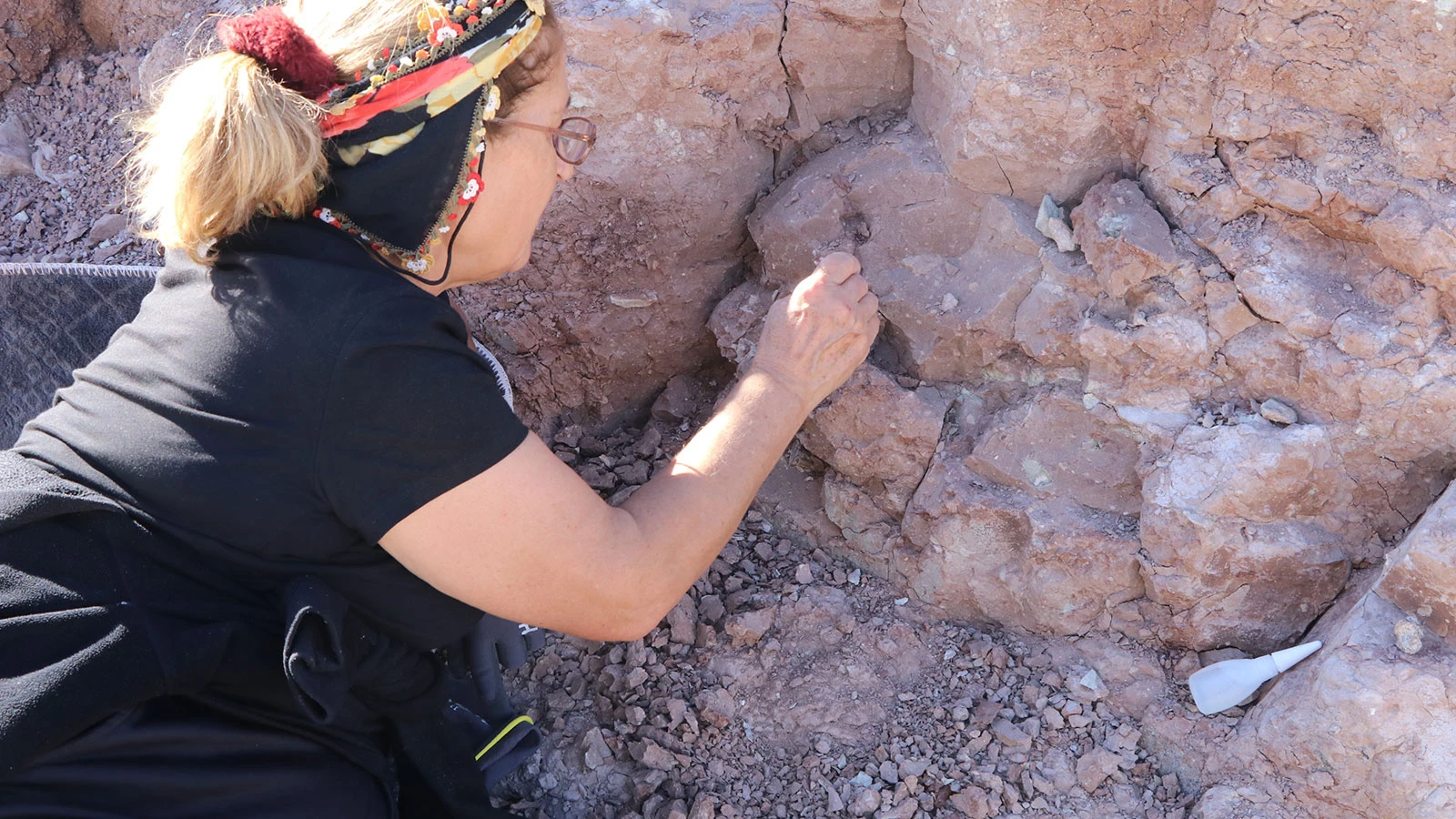 Kazı çalışmalarında ortaya çıktı: Bütünlüğü bozulmamış kafatası...