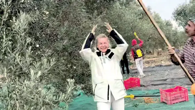 Kilolarca Zeytin Topladı