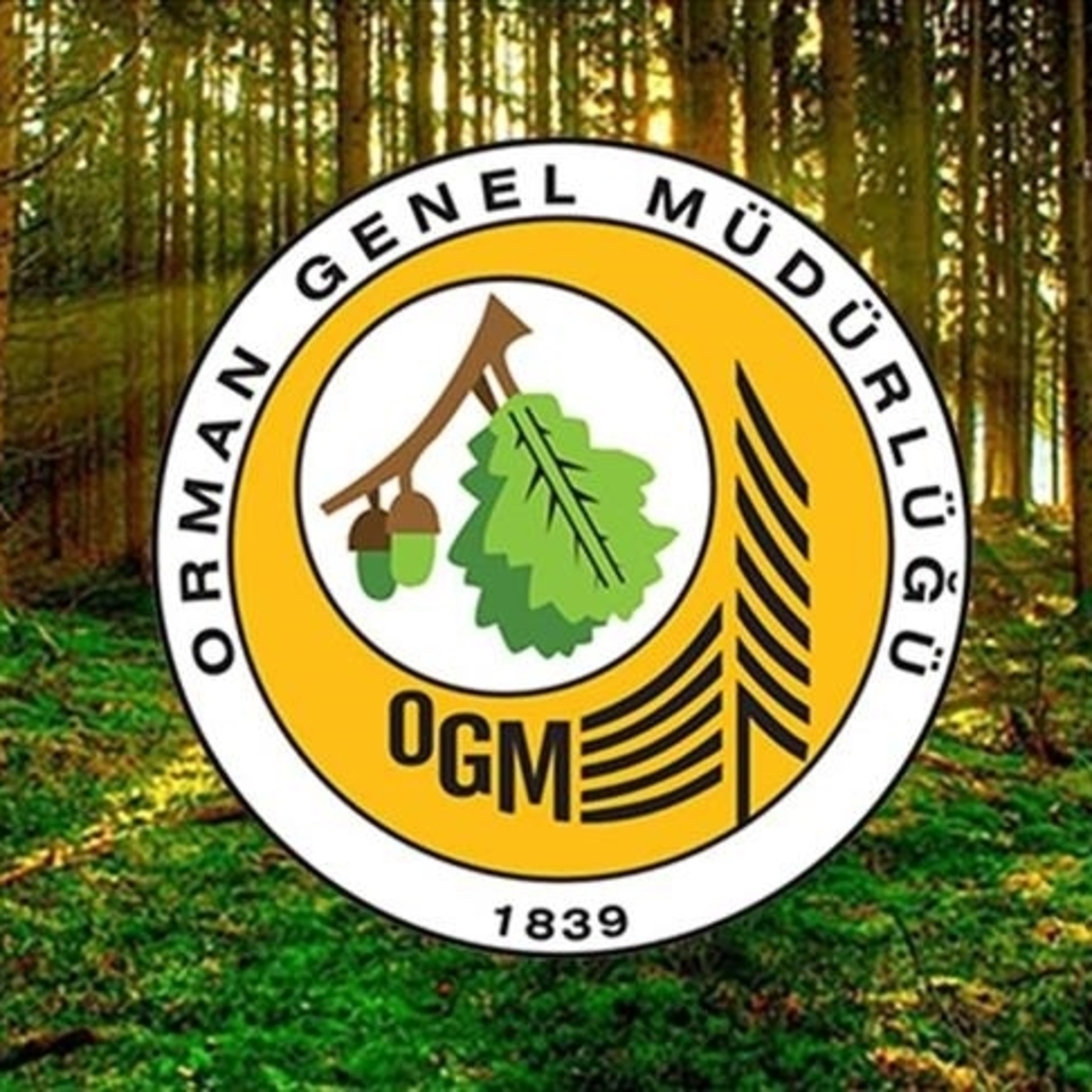 Tarım ve Orman Bakanlığı personel alımı yapıyor