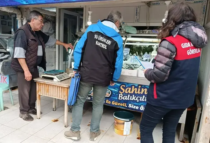 Gelibolu'da balıkçı tezgahları denetlendi