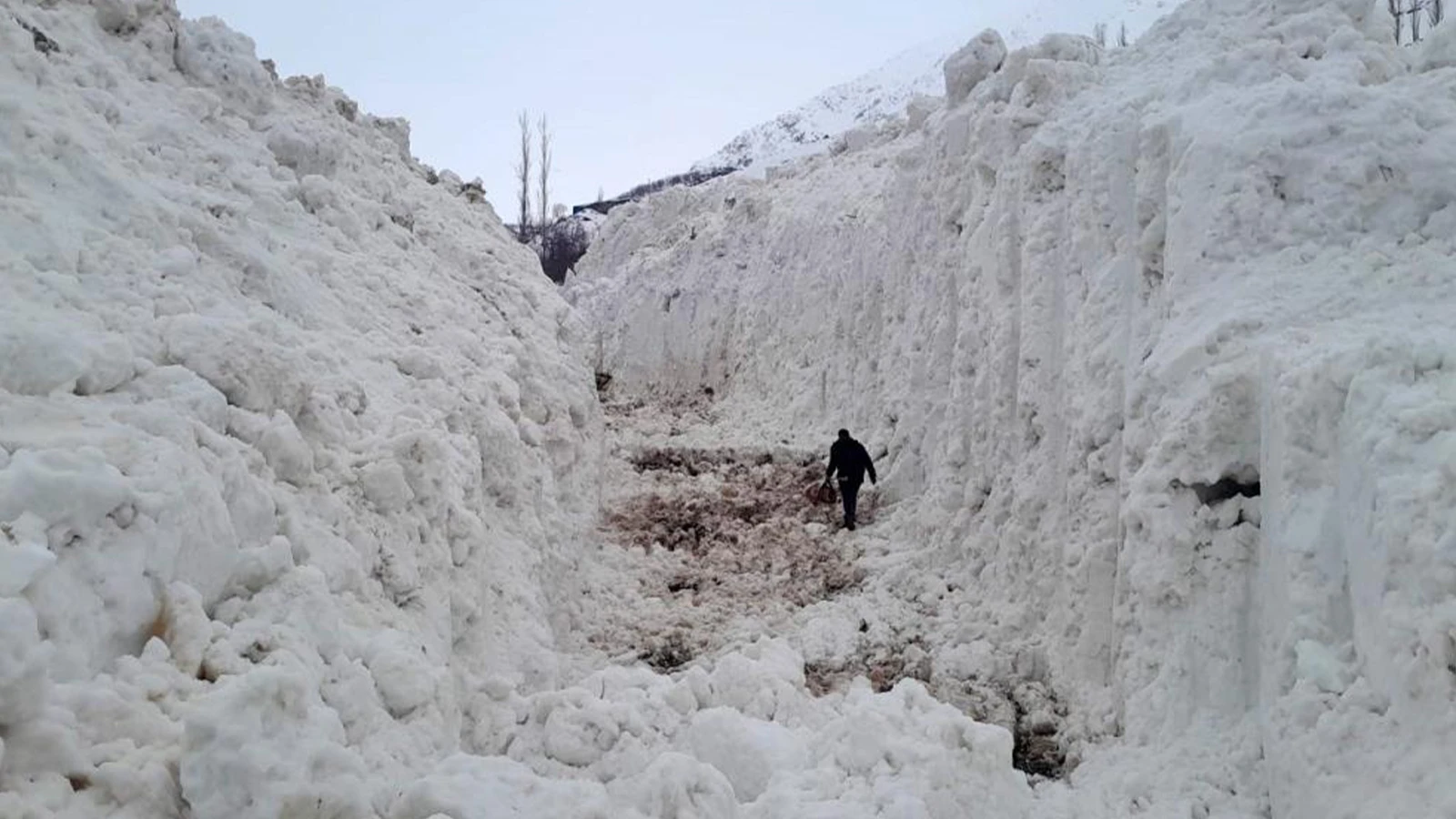 Çığ meyve bahçelerini yuttu! Tonlarca kar kütlesi yolu kesti