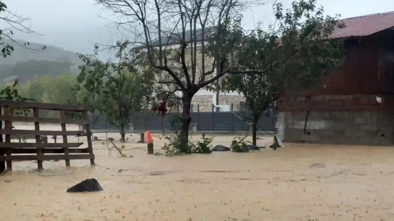 Sakarya'yı Sel Vurdu; Bir Mahalle Sulara Gömüldü, 60 Bin Kanatlı Hayvan Öldü