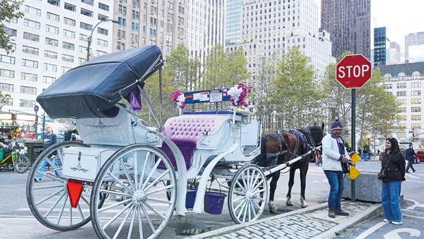 New York’ta Faytona Yasak