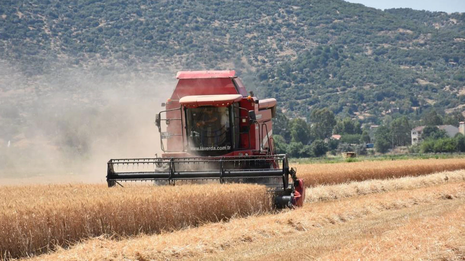 Hayvan üreticilerine kritik uyarı: Elinizi çabuk tutun