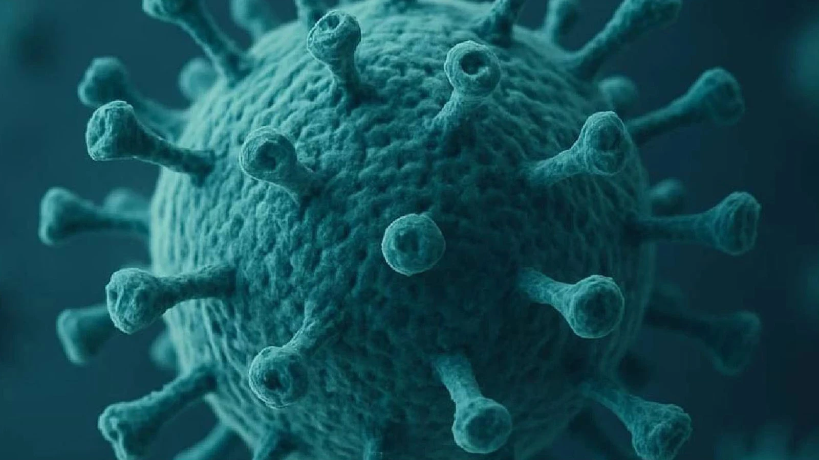 H3N2 artık Türkiye'de, bu kış çok zor geçebilir!
